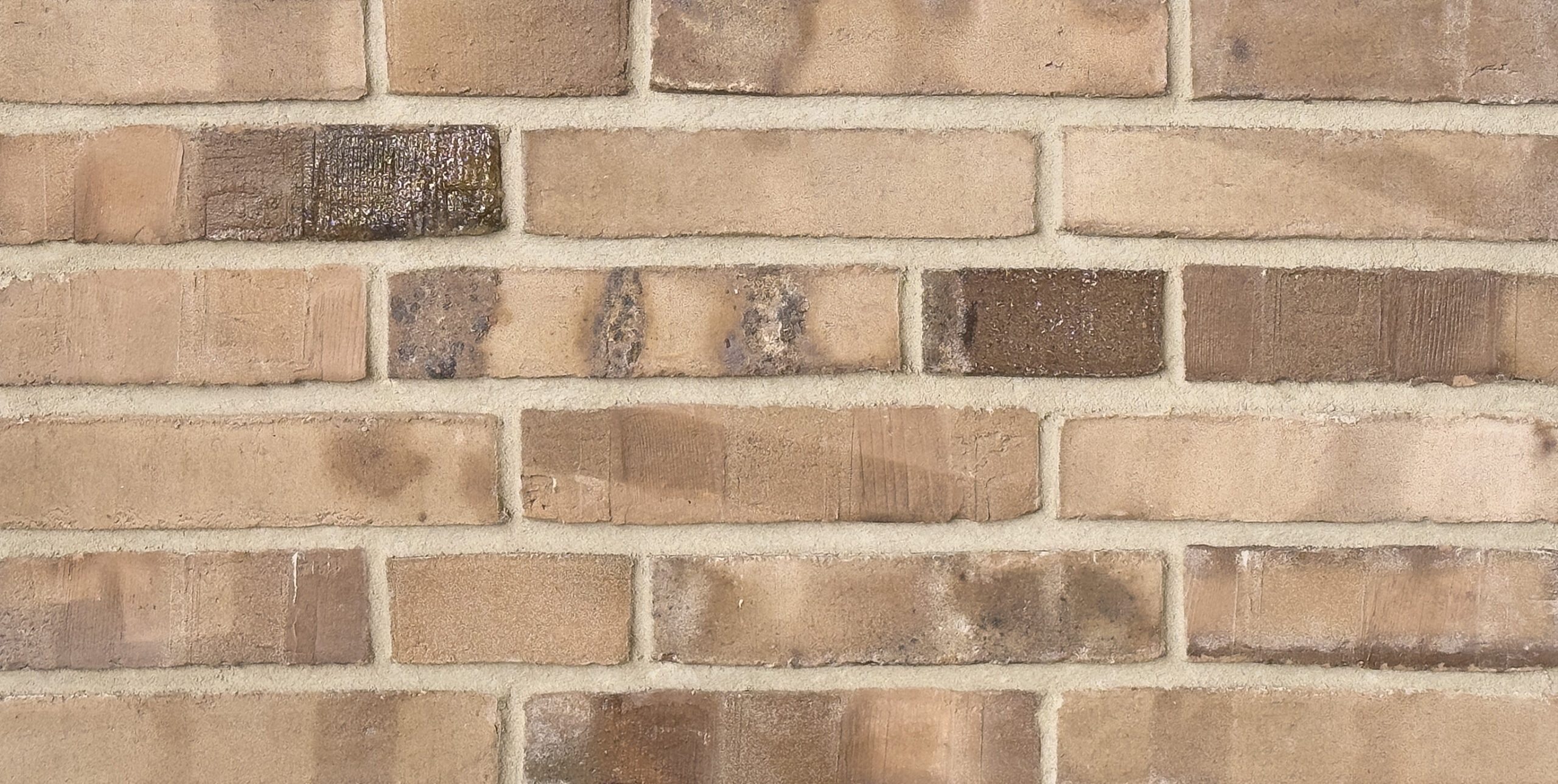 Mustertafel mit 6 Reihen creme-beiger Steine teilweise mit Kohleaufbrennungen