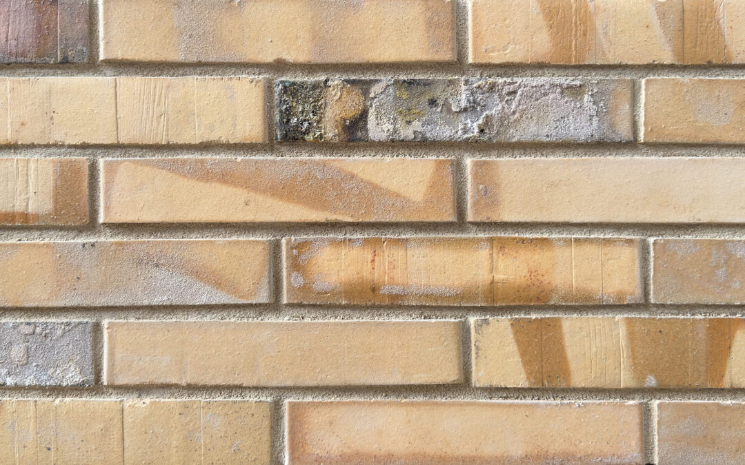 Ringofenklinker STP GR 601