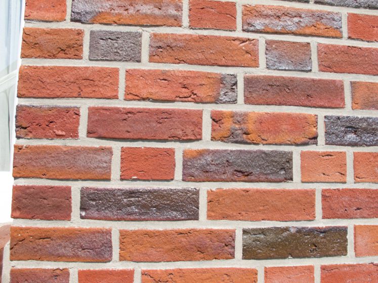 NF handform rot-blau-bunt