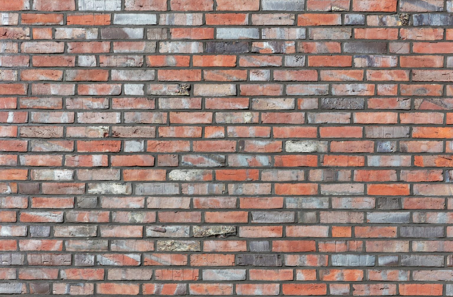 Büroneubau für Lebensmittel-Produzent Elo – Bild 1 von 7