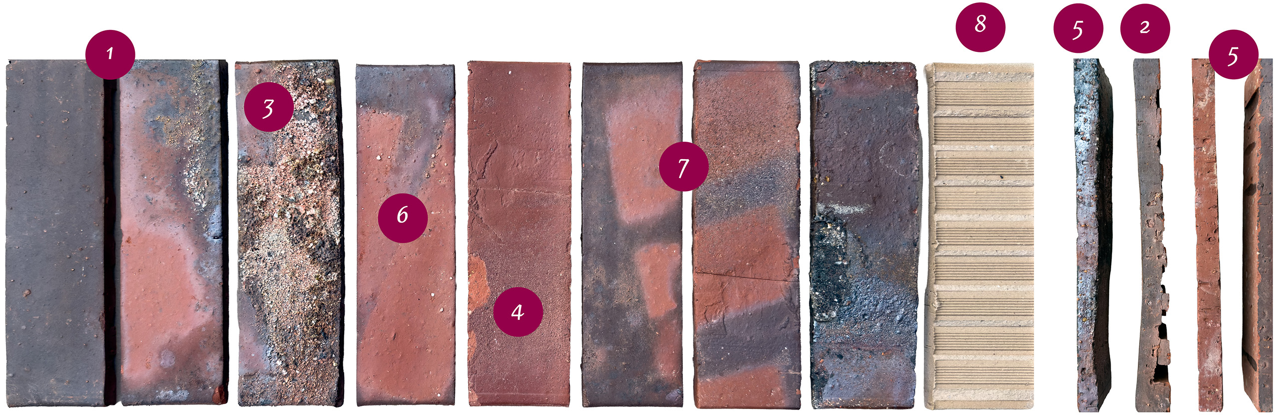 Reihe mit 8 Riemchen unterschiedlicher Farbe von vorn, einem Spaltriemchen von hinten und 4 Schnittriemchen von der Seite